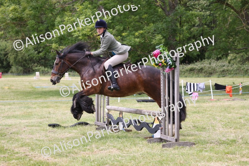 20260614-2932 - Class 22 - Open Working Hunter