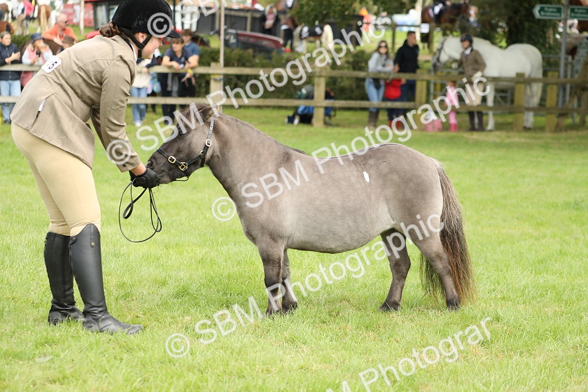 SBM_62794 - S46 - Mountain & Moorland In Hand Small Breeds
