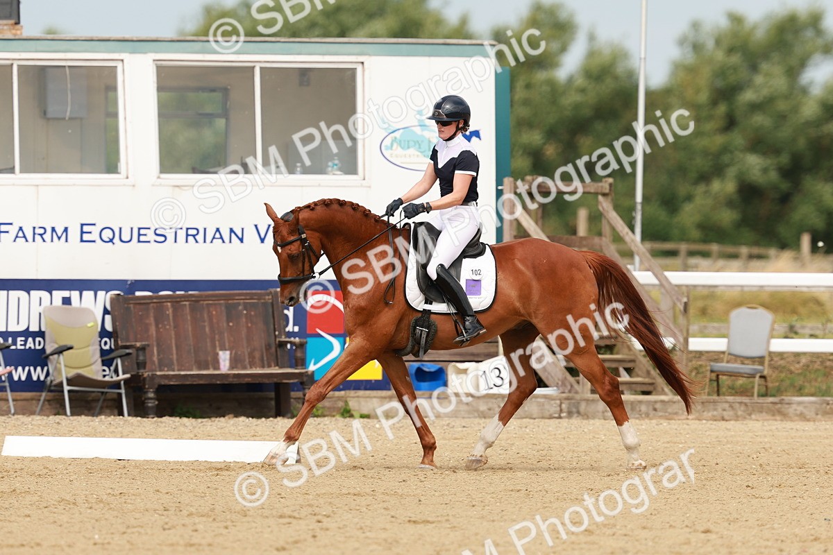 SBM_021603 - Class 13 - N5