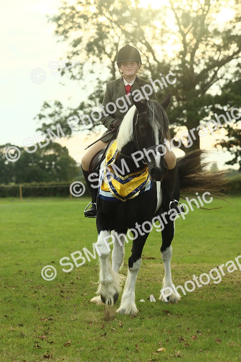 SBM_75325 - Super Supreme Championship