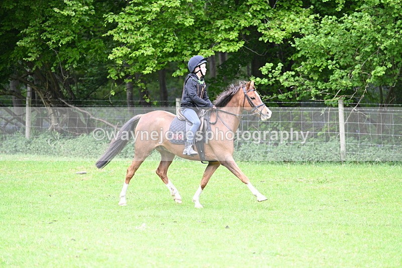 WJ7_2718 - Group 9 A&B Cameras