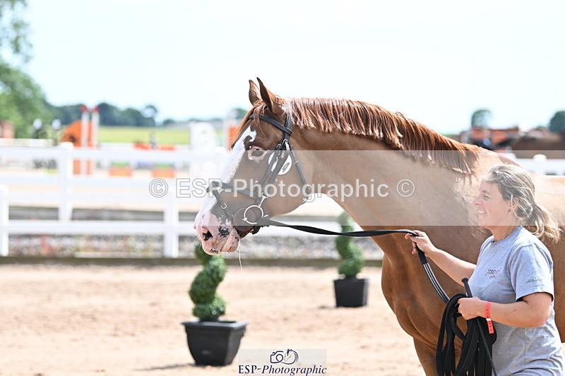 240717A-144806-02303 - Trot Up 2pm to 3pm - This folder is not in time order