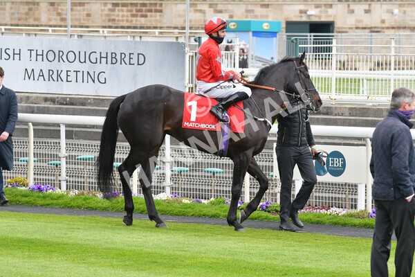 yr14052021r3-1 - Race 3 2.40pm The Matchbook Best Value Exchange Stakes