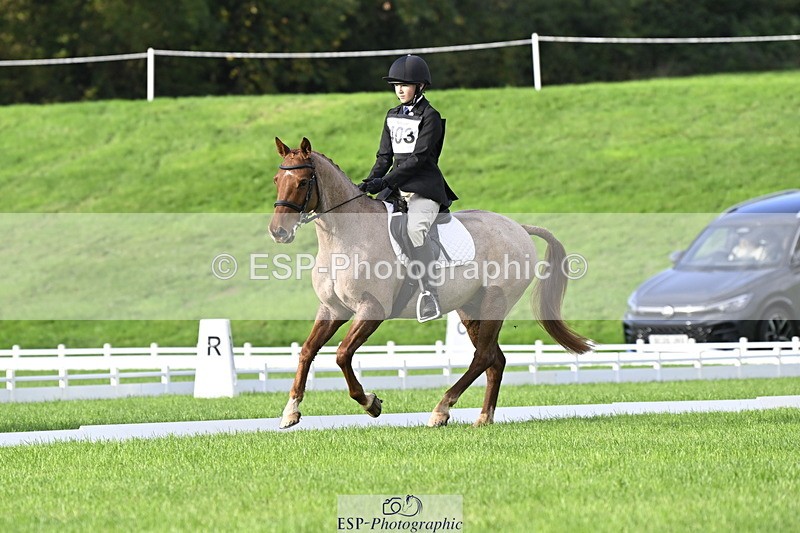 251023A-102032-02820 - F-403-Hugo.Moor