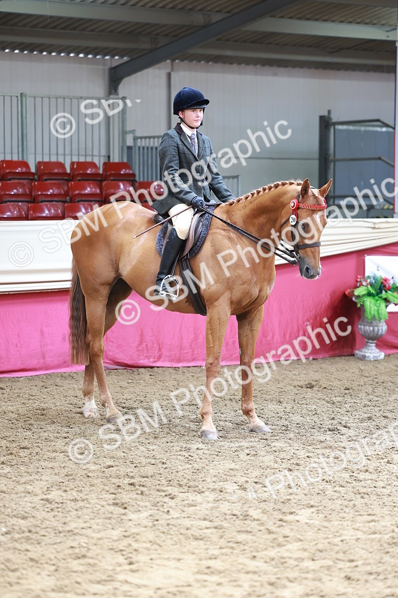 SBM_14968 - Class 108 - Ridden Retired Racehorse