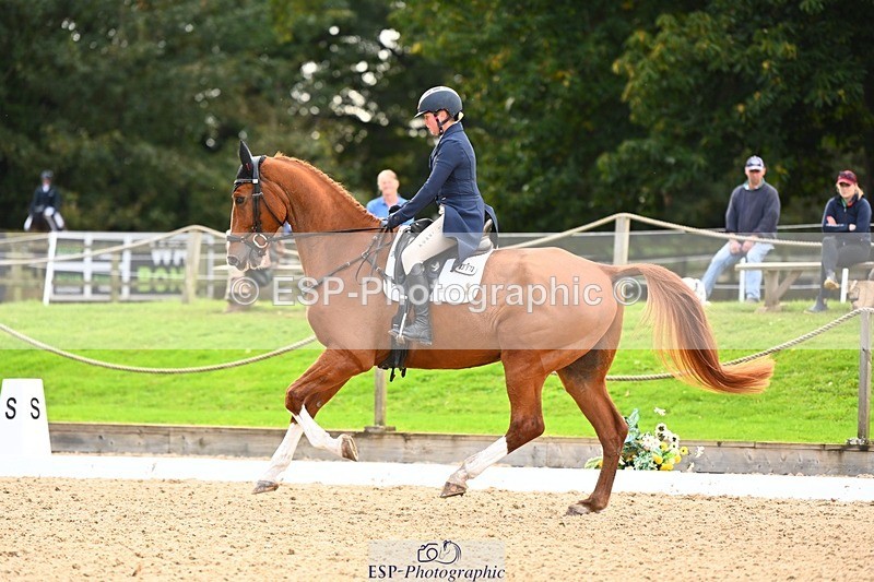 231020-145752-10049 - 311-DALOUBET.MANSOLEIN.Z-Kat.Raybould-DR