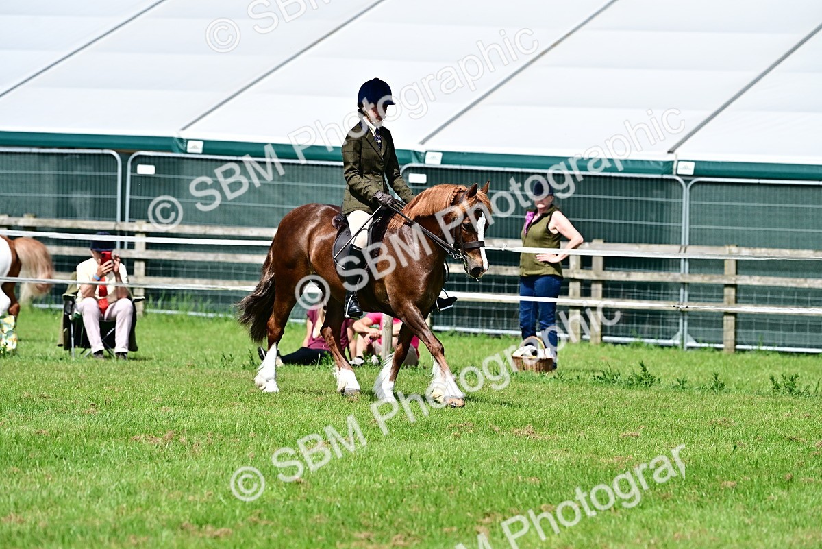 SBM_03798 - Class 58 - TSR  Ridden Veteran Amateur of the year