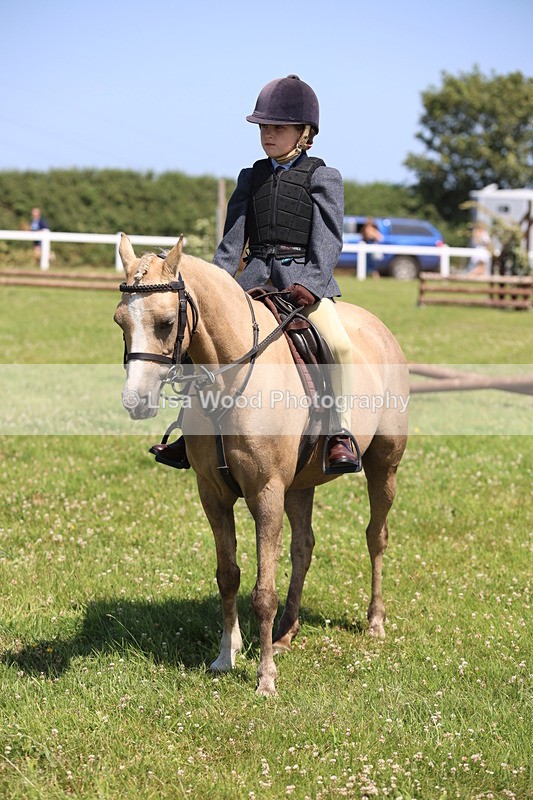 JPP_2280 - Class 20: Tiny Tots Working Hunter Pony