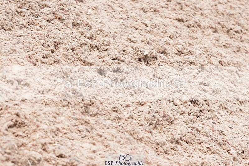 250608-130750-02823 - Cls 9 Pony Newcomers and 1m