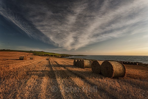 Golden Light on the Fields Around The Old Head of Kinsale, Co. Cork, Ireland.