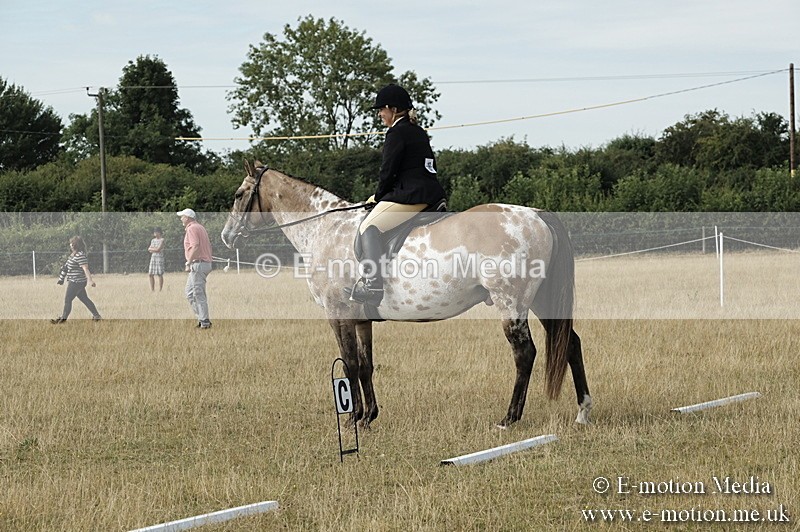 _PJP5707 - Dressage Classes BVRC Show 2018
