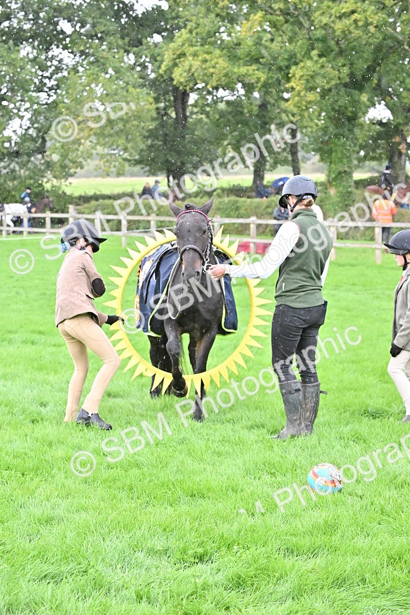 SBM_42998 - S12 - Family Horse & Pony