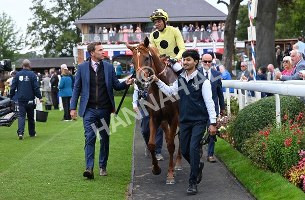 230825-011 King Of Cities - Race 1 1.50pm Sky Bet Strensall Stakes