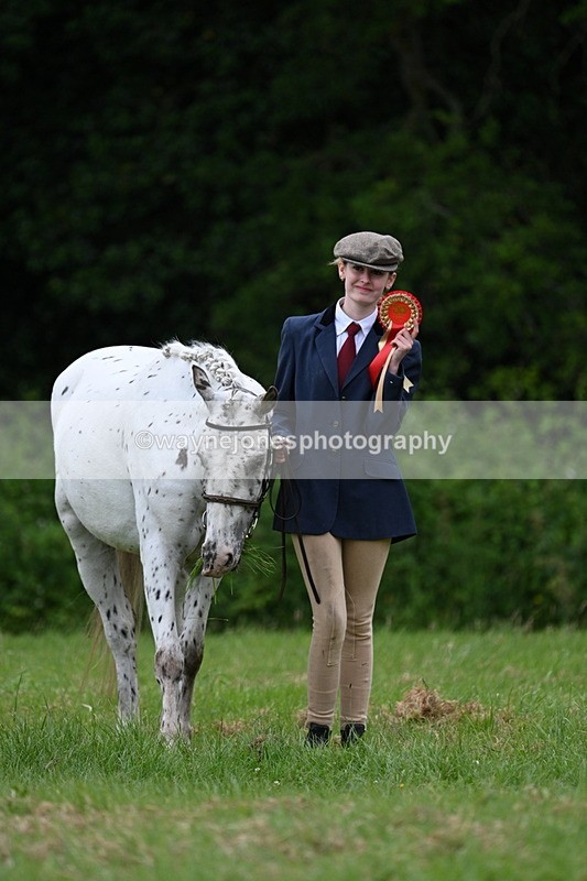 WJ7_4537 - Class 14B Prettiest Mare