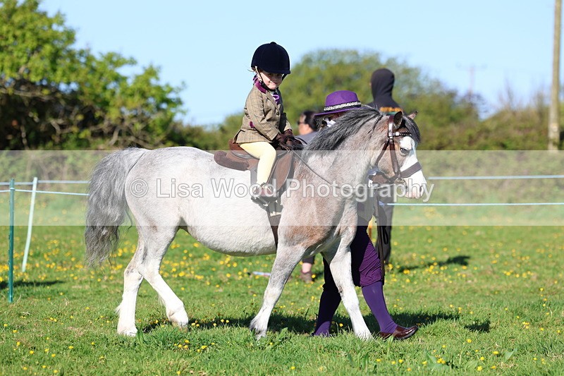 3E7A8481 - Class 2: Lead rein