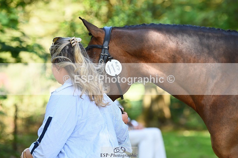 230524-164752-01094 - 115-RNH_ULTIMATE-Harriet_Wright-WEDTrotUp+DR