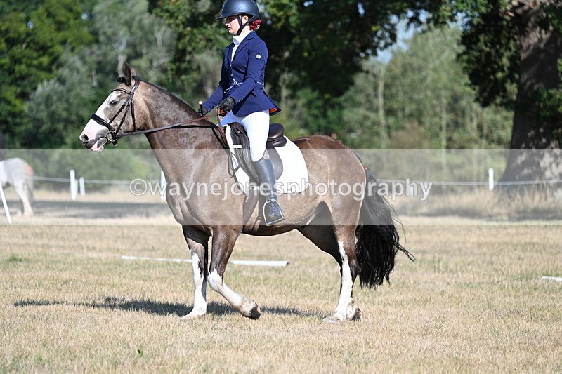 WJ7_9001 - Time 09:27 to 10:03