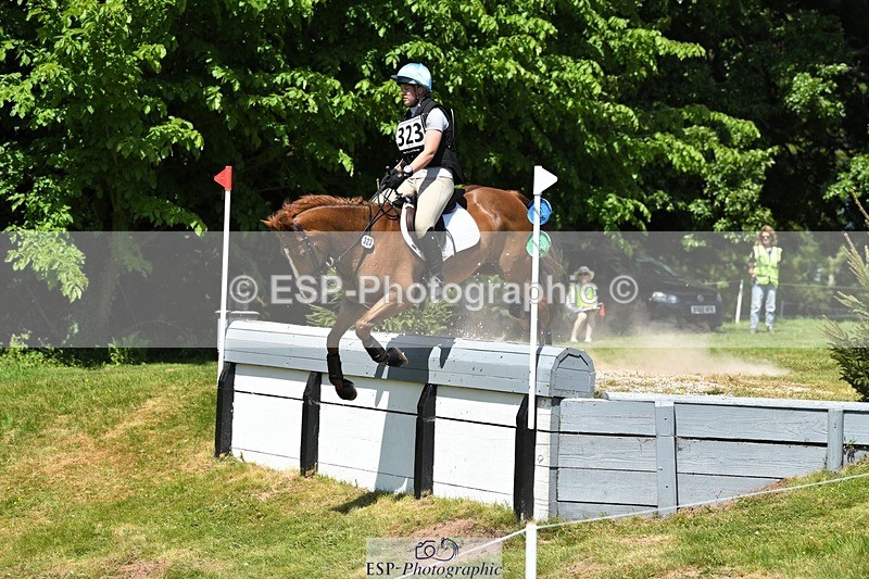 230527-141643-09891 - 323-CHESTNUT_BOBBY-Molly_Fletcher-XC