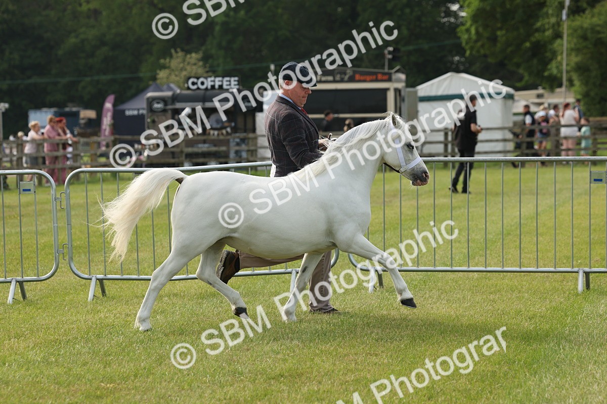 SBM_00501