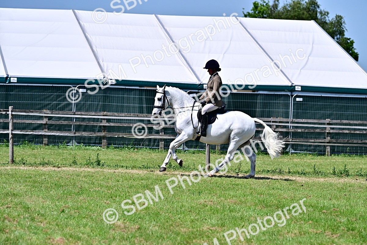 SBM_17555 - Class 95-97 - BSPS LHS Performance Ponies