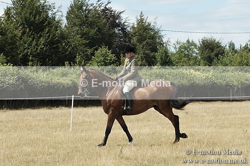 _PJP6018 - BVRC Show 2018 Ring 1