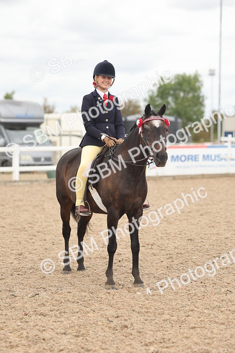 SBM_16043 - Class 311 - Ridden Show pony-Show hunter Pony
