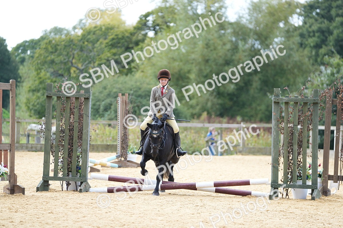 SBM_64582 - J2 - Mini Tour Junior Pony 30cm Championship