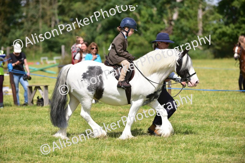20260614-1178 - Class 11a - Lead Rein Pony (Unplaited)