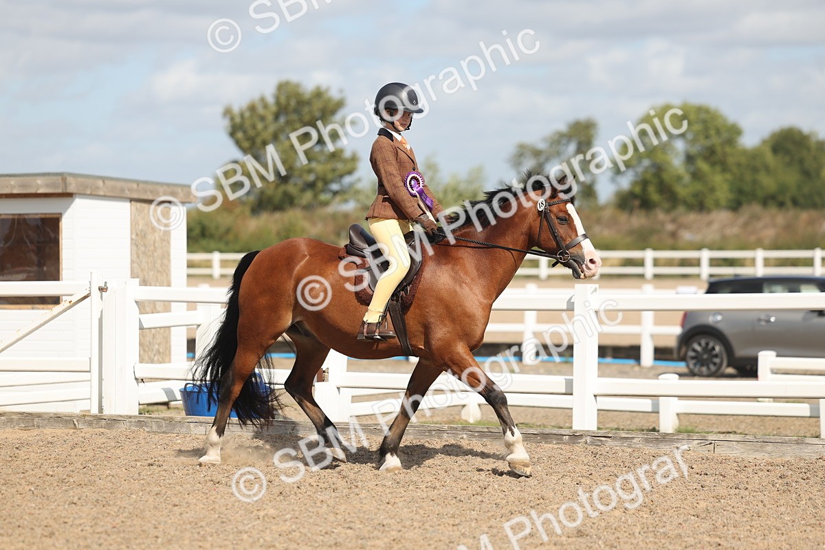 SBM_23203 - Class 806 - Young Rider 10ry and Under