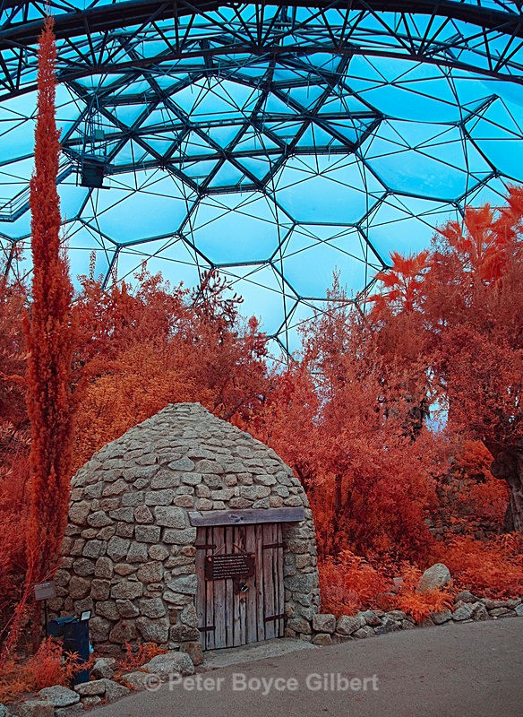 The temperate biome, Eden - Infrared images