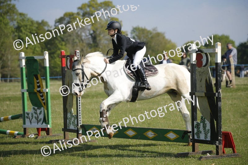 20250427-0314 - Class 12 - Rookie Jumping 40cm