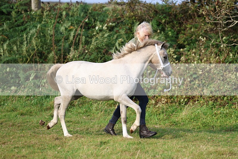 3E7A3151 - Class 12: M & M Small Breeds