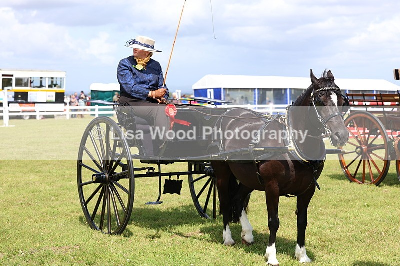 3E7A2810 - Class 12: Open Driving