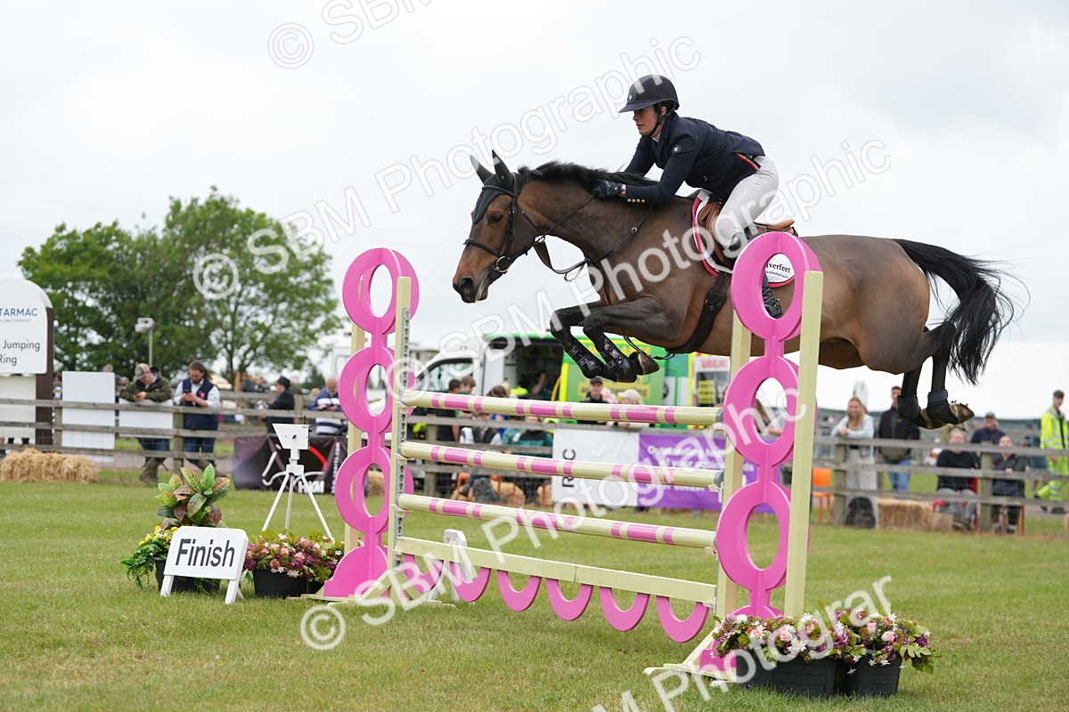 SBM_05235 - Class 201 - British Horse Feeds Speedi Beet Horse of the Year Show Grade  C