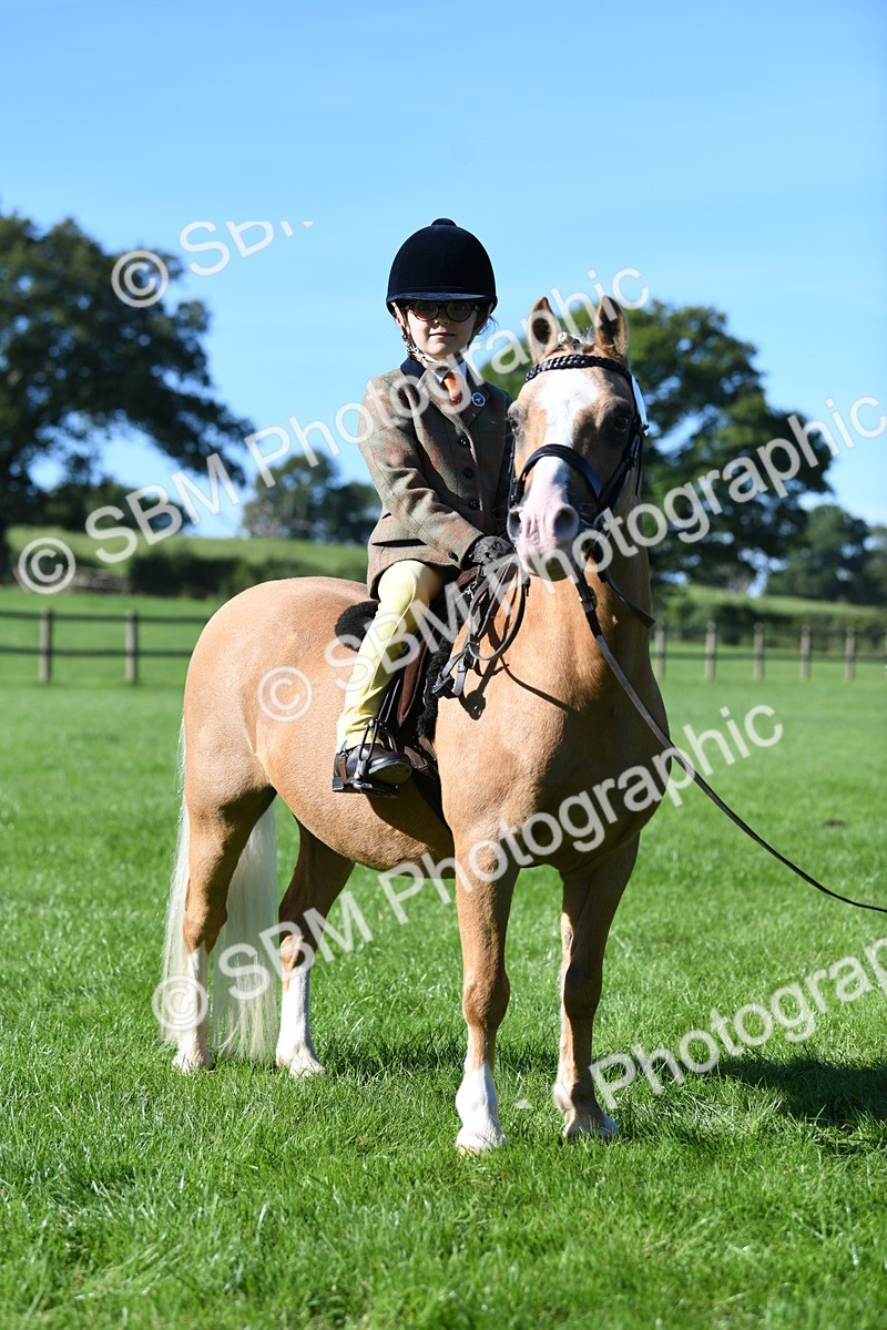 SBM_36866 - S18 - Novice & Newcomers Lead Rein Pony