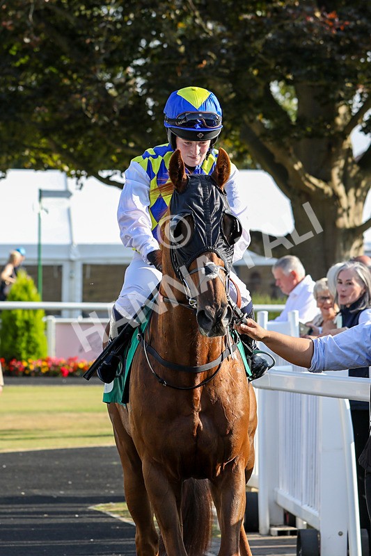 300824-Race 8-Bulls Aye-0780 - Race 8