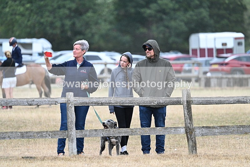 WJ7_0910 - Class 7 Riding Club Show Horse