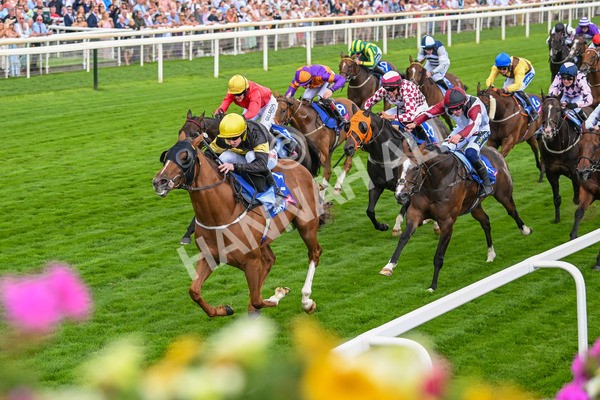 260725-Race 4-Air Force One-7595 - Race 4 3.20pm Sky Bet 'Jump Jockeys' Nunthorpe' Handicap