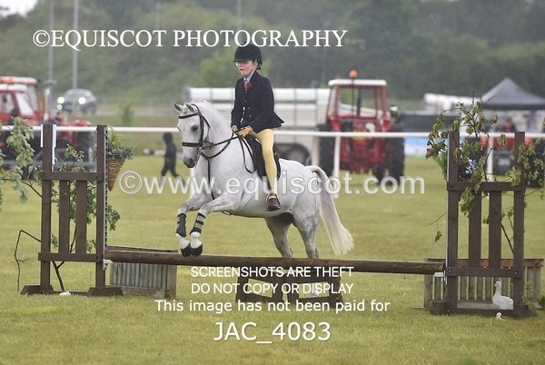 JAC_4083 - 40CM WORKING HUNTER