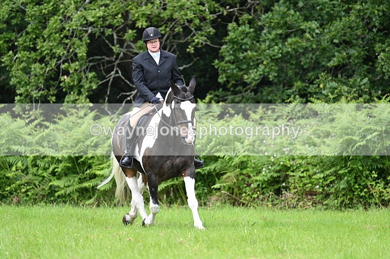 WJ7_2066 - Class 12A Coloured Class