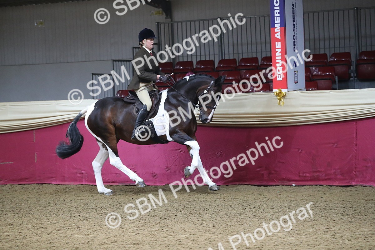 SBM_10376 - Class 102 Equitation (best rider) Adult