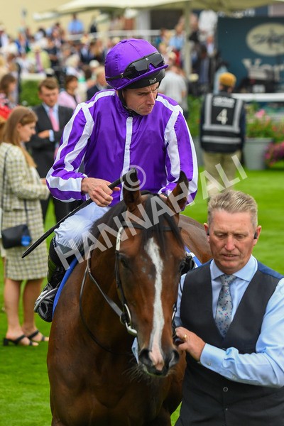 230823-Race 3-Continuous-0420 - Race 3 3.00pm Sky Bet Great Voltigeur Stakes