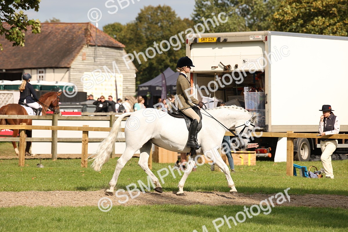 SBM_49966 - S26 - Young Veteran - Ridden