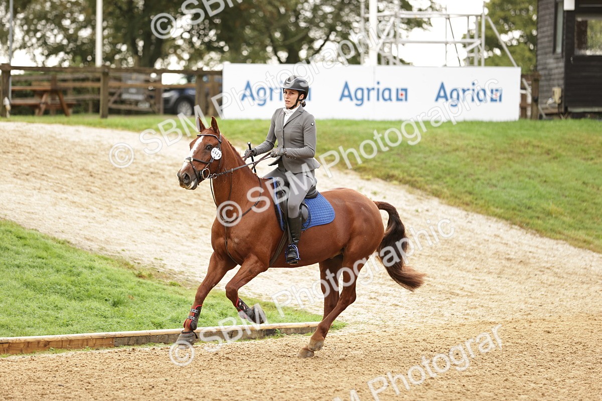 SBM_33013 - J38 - Senior Horse & Pony 80cm Championship