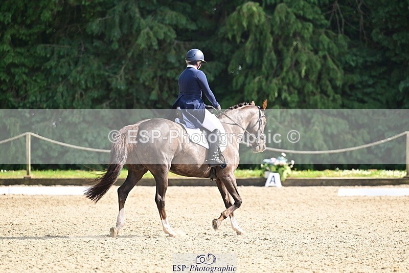 260528A-165355-05313 - C-329-Georgie.Williams