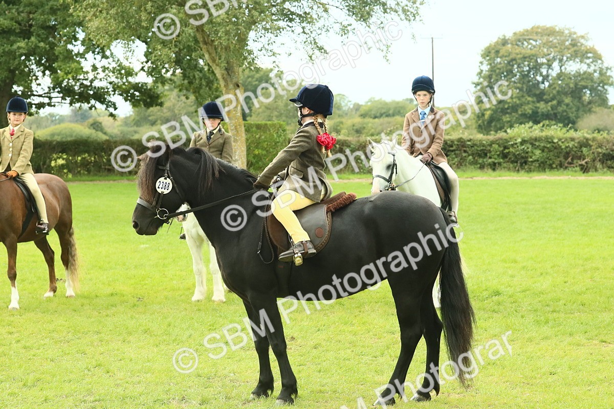 SBM_69975 - S59 - Mountain & Moorland Ridden Small Breeds