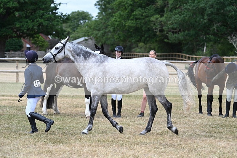 WJ7_1883 - Class 4a Prettiest Mare 14.2hh and over hand
