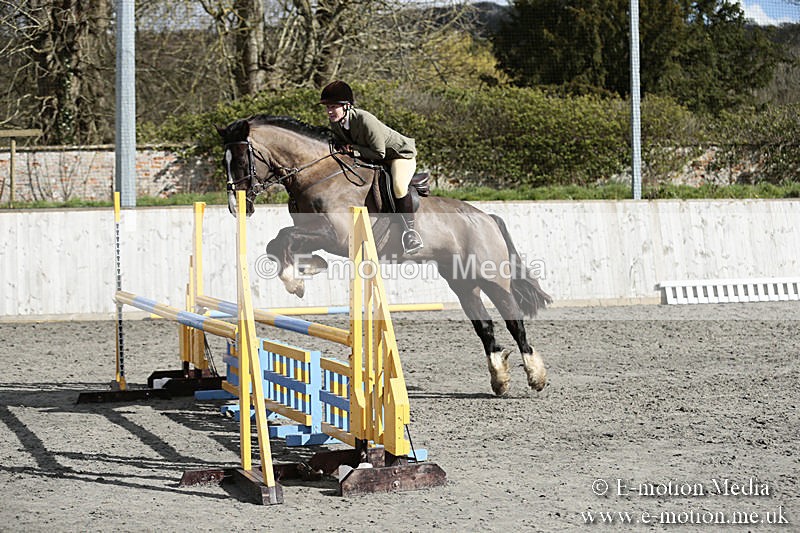 BVRC SJ 170319 683 - Bourne Valley Riding Club Showjumping 17/03/19