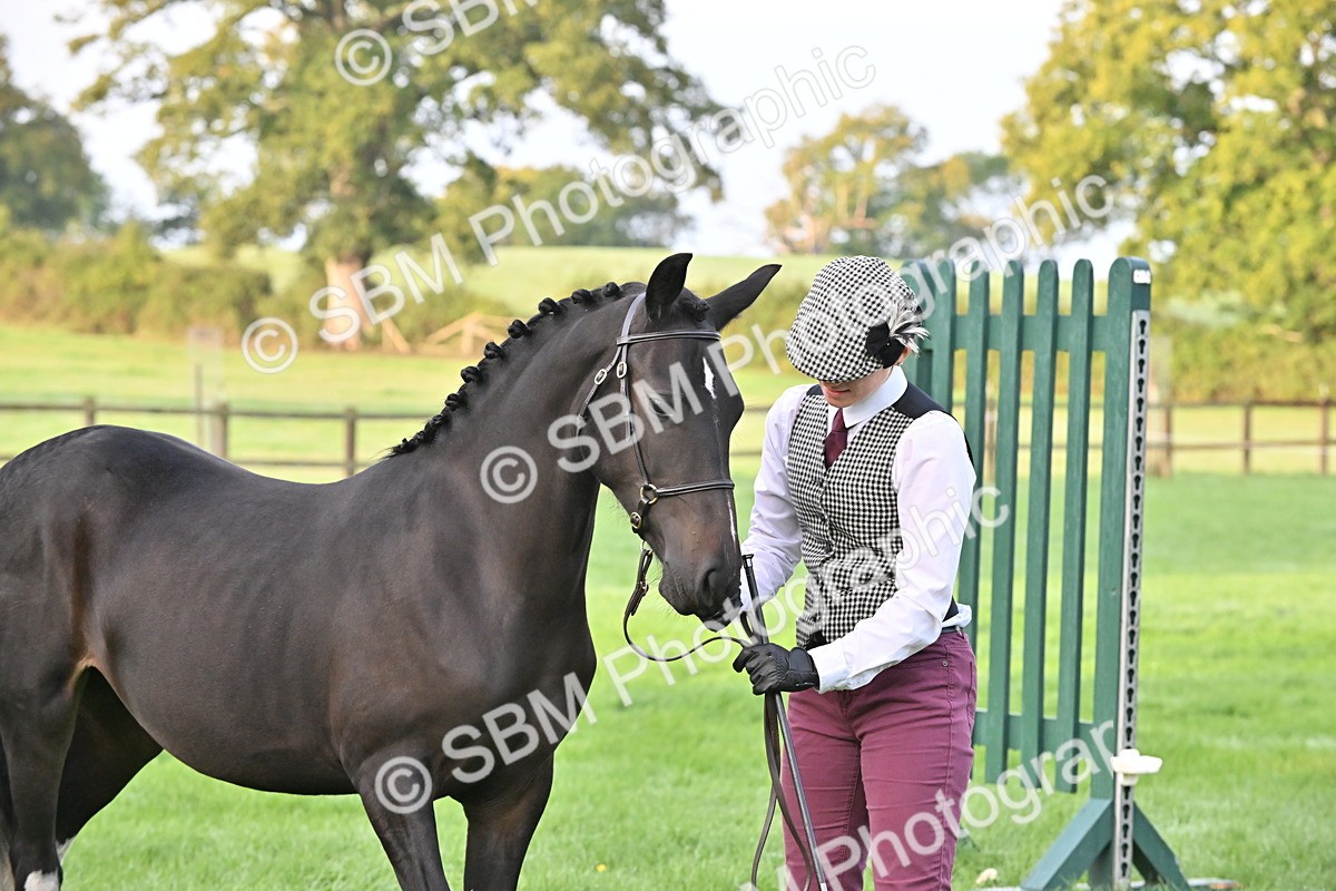 SBM_54614 - S44 - Youngstock In Hand