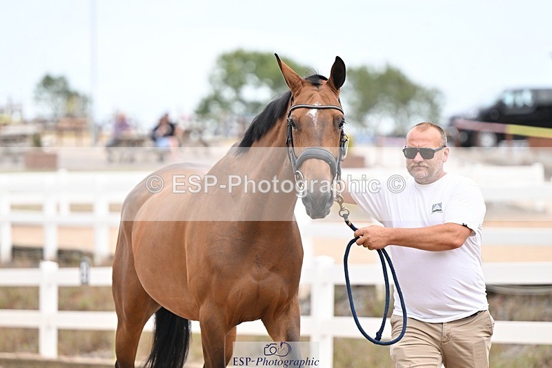 250716-155452-02275 - Trot Up 3.30 to 4.30